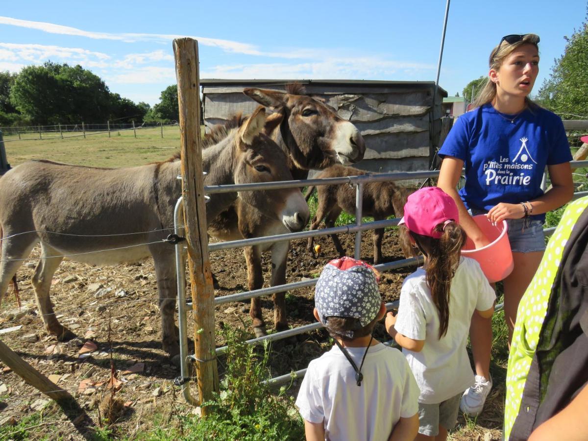 Les P'tites Maisons Dans La Prairie Chalet Sallertaine