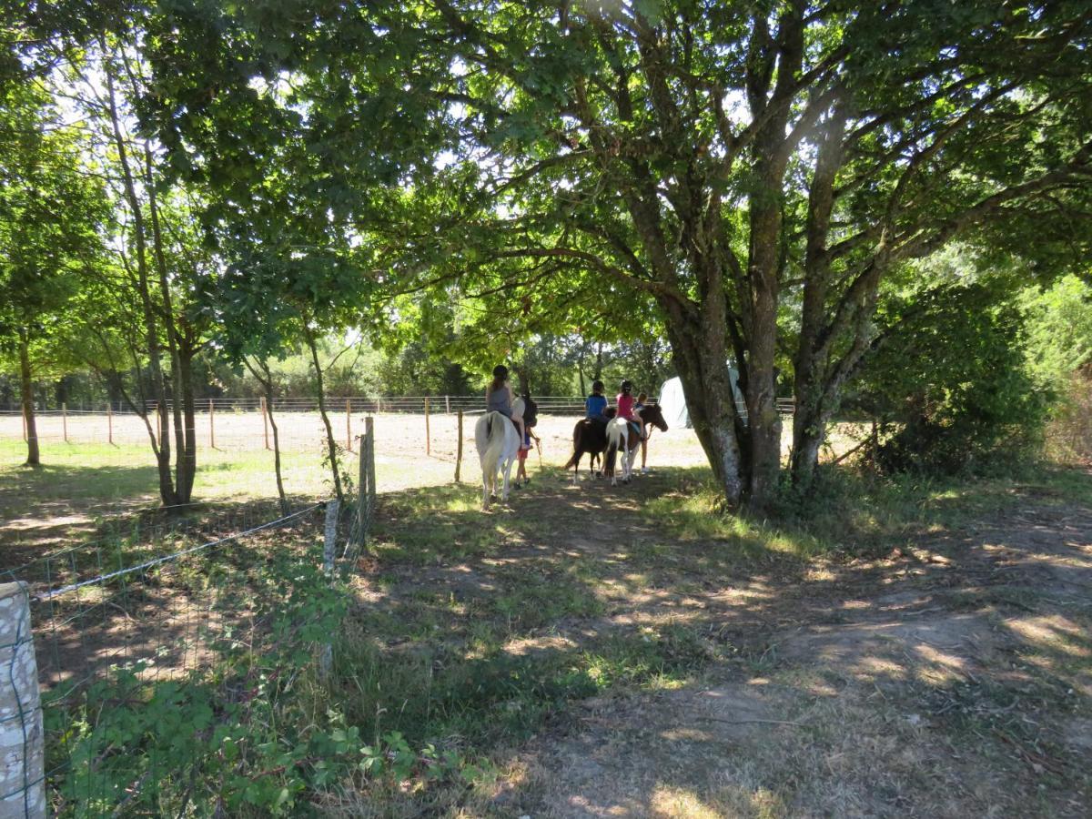 Chalet Les P'tites Maisons Dans La Prairie Sallertaine