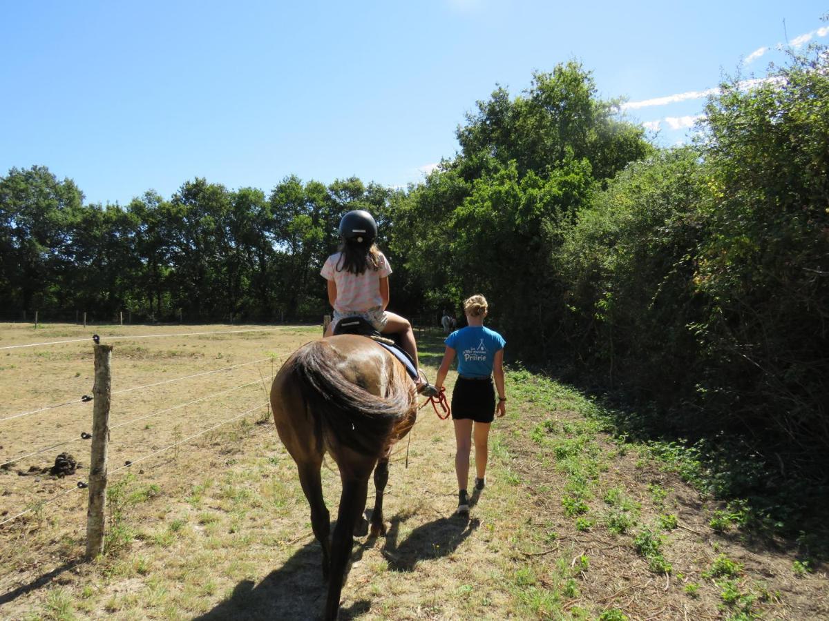 Chalet Les P'tites Maisons Dans La Prairie Sallertaine